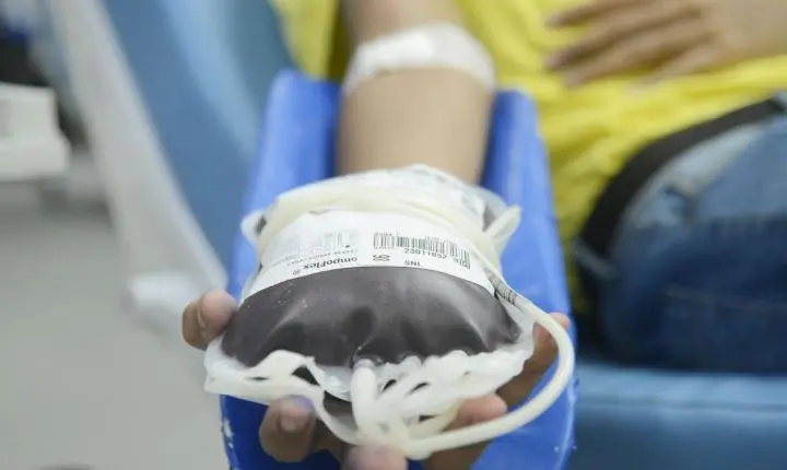 Doação de sangue: novas regras reduzem tempo de espera para quem fez tatuagem